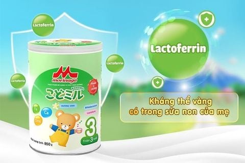 Morinaga – Sữa Mát Hỗ Trợ Tiêu Hóa Khỏe, Tăng Cân Và Tăng Đề Kháng