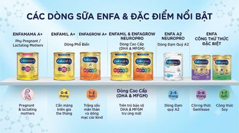 CHỌN ENFA: BA MẸ CẦN BIẾT GÌ? | GIASIDAY