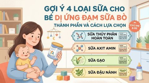 Gợi Ý 4 Loại Sữa Cho Bé Dị Ứng Đạm Sữa Bò: Thành Phần Và Cách Lựa Chọn