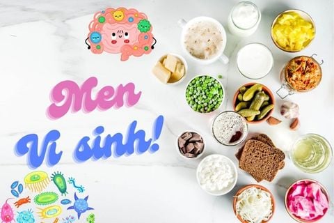 Men vi sinh (Probiotics) là gì? Lợi ích với hệ tiêu hóa và miễn dịch