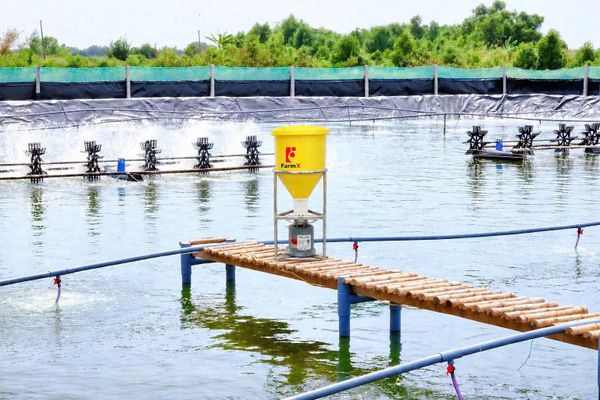 Máy cho ăn a30 phễu nhựa, lắp đặt trên ao