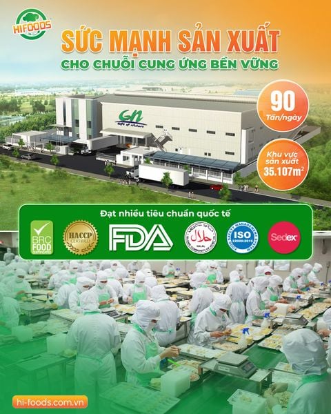 NĂNG LỰC SẢN XUẤT GN FOODS - TRÁI TIM CHUỖI CUNG ỨNG ỔN ĐỊNH