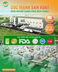 NĂNG LỰC SẢN XUẤT GN FOODS - TRÁI TIM CHUỖI CUNG ỨNG ỔN ĐỊNH