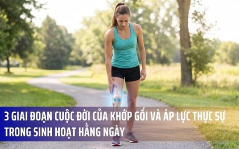 3 Giai Đoạn Cuộc Đời Của Khớp Gối Và Áp Lực Thực Sự Trong Sinh Hoạt Hằng Ngày