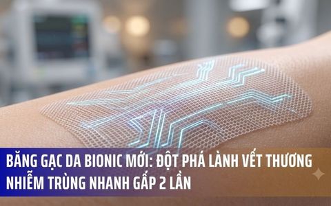 Băng Gạc Da Bionic Mới: Đột Phá Lành Vết Thương Nhiễm Trùng Nhanh Gấp 2 Lần