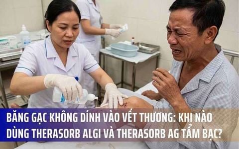 Băng gạc không dính vào vết thương: Khi nào dùng Therasorb thường và khi nào cần Therasorb Ag tẩm bạc?