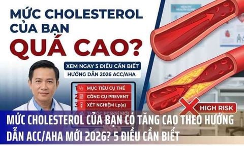 Mức Cholesterol Của Bạn Có Tăng Cao Theo Hướng Dẫn ACC/AHA Mới 2026? 5 Điều Cần Biết