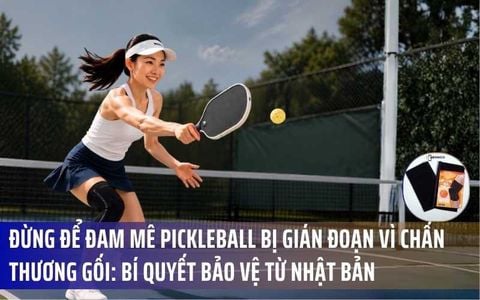 Đừng để đam mê Pickleball bị gián đoạn vì chấn thương gối: Bí quyết bảo vệ từ Nhật Bản