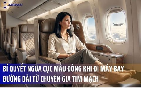 Bí Quyết Ngừa Cục Máu Đông Khi Đi Máy Bay Đường Dài Từ Chuyên Gia Tim Mạch