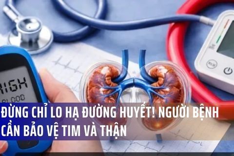 Đừng chỉ lo hạ đường huyết! Người bệnh tiểu đường cần bảo vệ Tim và Thận ngay hôm nay.