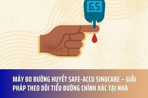 Máy đo đường huyết Safe-Accu Sinocare – Giải pháp theo dõi tiểu đường chính xác tại nhà