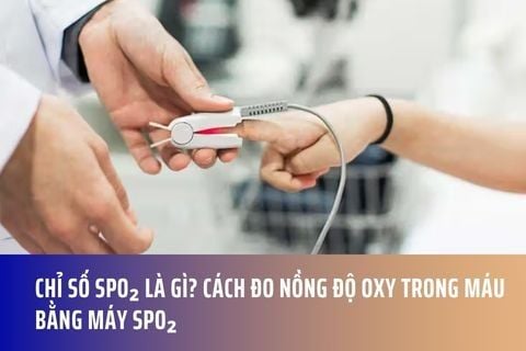 Chỉ Số SpO₂ Là Gì? Cách Đo Nồng Độ Oxy Trong Máu Bằng Máy SpO₂