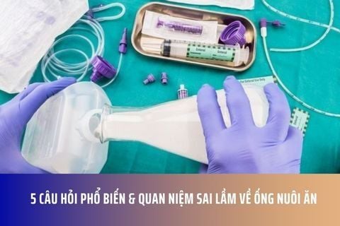 5 Câu hỏi phổ biến & Quan niệm sai lầm về ống nuôi ăn
