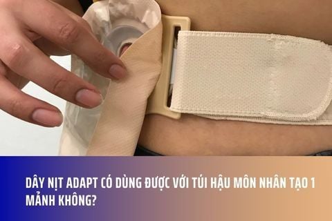 Dây nịt Adapt có dùng được với túi hậu môn nhân tạo 1 mảnh không?