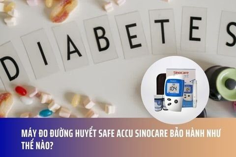 Máy đo đường huyết Safe Accu Sinocare bảo hành như thế nào?