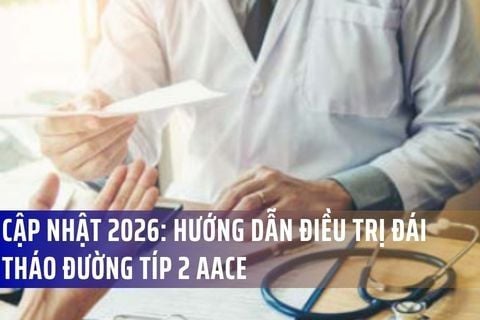 Cập Nhật 2026: Hướng Dẫn Điều Trị Đái Tháo Đường Tuýp 2 AACE