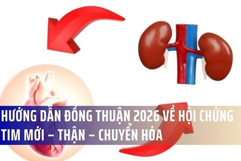 Hướng Dẫn Đồng Thuận 2026 Về Hội Chứng Tim Mới – Thận – Chuyển Hóa (CKM): Thay Đổi Tư Duy Điều Trị Toàn Diện