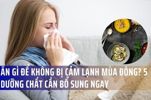 Ăn Gì Để Không Bị Cảm Lạnh Mùa Đông? 5 Dưỡng Chất Cần Bổ Sung Ngay