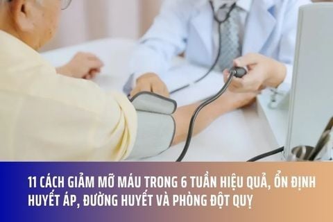 11 Cách Giảm Mỡ Máu Trong 6 Tuần Hiệu Quả, Ổn Định Huyết Áp, Đường Huyết Và Phòng Đột Quỵ