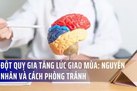 Đột Quỵ Gia Tăng Lúc Giao Mùa: Nguyên Nhân Và Cách Phòng Tránh