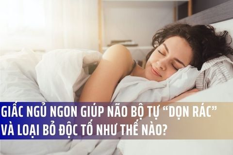 Giấc Ngủ Ngon Giúp Não Bộ Tự “Dọn Rác” Và Loại Bỏ Độc Tố Như Thế Nào?