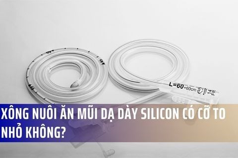 Xông nuôi ăn mũi dạ dày silicon có cỡ to nhỏ không?