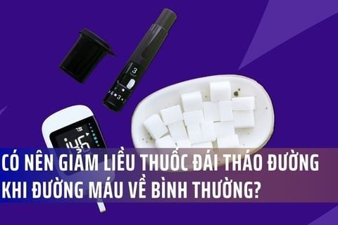 Có nên giảm liều thuốc đái tháo đường khi đường máu về bình thường? Giải đáp từ bác sĩ