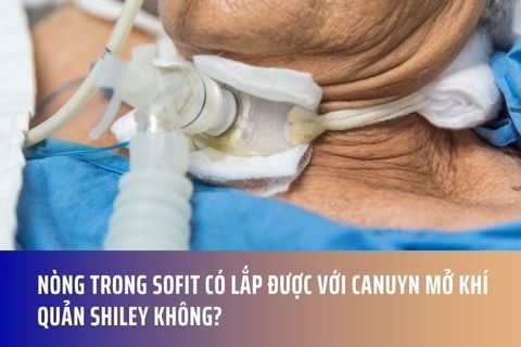 Nòng trong Sofit có lắp được với canuyn mở khí quản Shiley không?