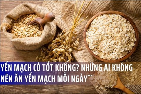 Yến Mạch Có Tốt Không? Những Ai Không Nên Ăn Yến Mạch Mỗi Ngày