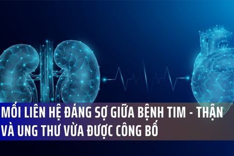 Mối liên hệ đáng sợ giữa bệnh Tim - Thận và Ung thư vừa được công bố