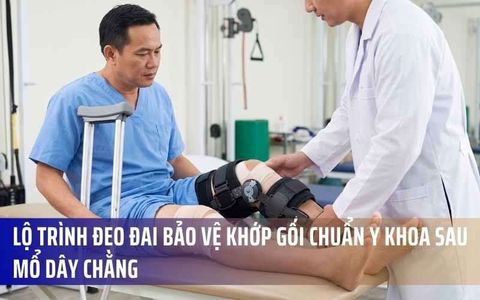 Lộ Trình Đeo Đai Bảo Vệ Khớp Gối Chuẩn Y Khoa Sau Mổ Dây Chằng