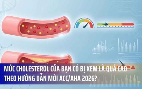 Mức Cholesterol Của Bạn Có Bị Xem Là Quá Cao Theo Hướng Dẫn Mới ACC/AHA 2026? 5 Điều Cần Biết Chuyên Sâu