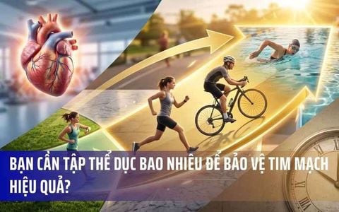 Bạn Cần Tập Thể Dục Bao Nhiêu Để Bảo Vệ Tim Mạch Hiệu Quả?