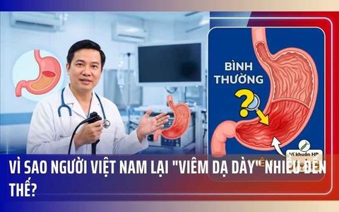 Vì Sao Người Việt Nam Lại 