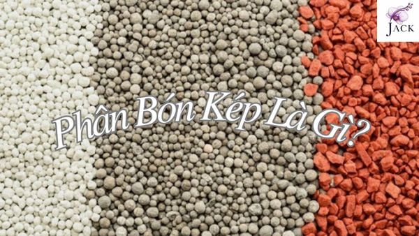 Phân Bón Kép Là Gì? Dùng Cho Hoa Lan Thế Nào?