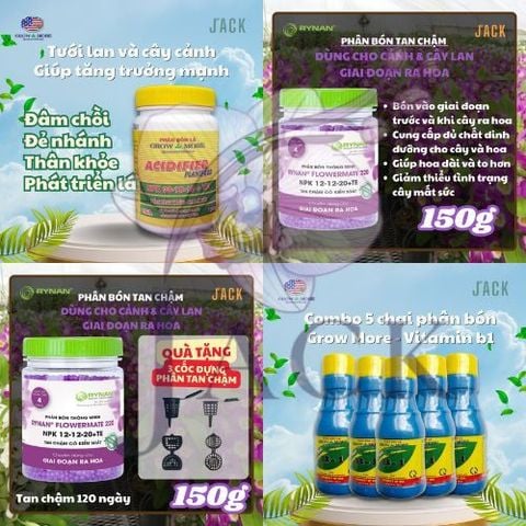 Bón Phân Gì Cho Lan Ra Hoa Theo Từng Giai Đoạn