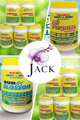 Các Giai Đoạn Bón Phân Cho Lan Đúng Chu Kỳ