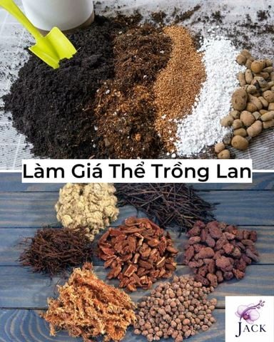 Làm Giá Thể Trồng Lan Đúng Kỹ Thuật, Hiệu Quả Nhất