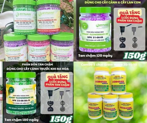 Phân Bón NPK Là Gì? Tỷ Lệ Đúng Cho Từng Giai Đoạn Cây