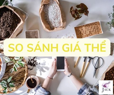 So Sánh Các Giá Thể : Pumice, Vỏ Thông, Than, Perlite