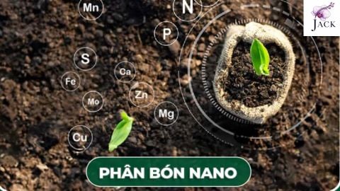 Phân Bón Nano Là Gì? Dùng Cho Hoa Lan Có Tốt Không?