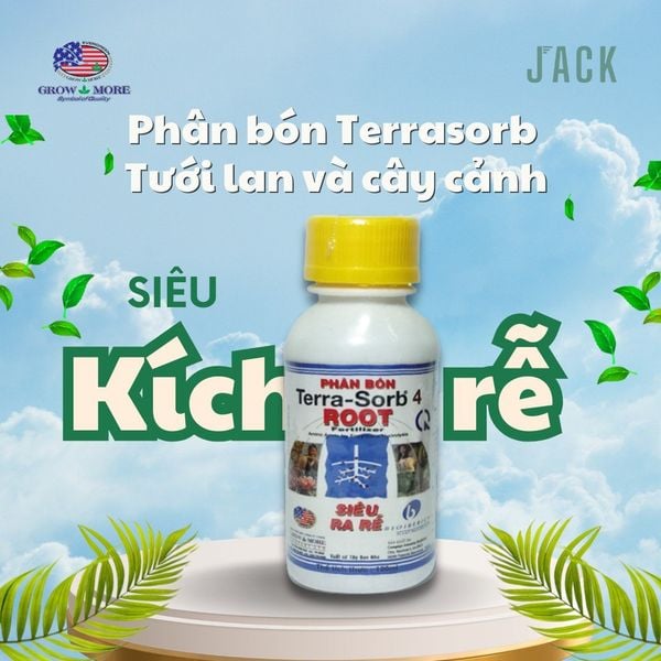Phân bón kích rễ Terrasorb cho hoa lan