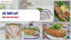 ca that lat dac san dinh duong tu dong que viet