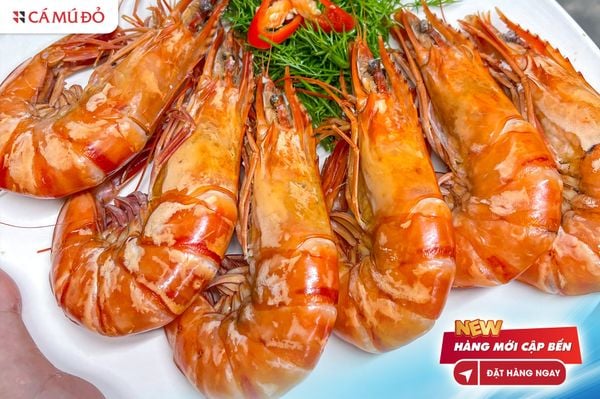 tôm sú quảng canh hấp