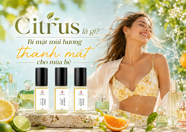 Citrus là gì? Bí mật mùi hương thanh mát cho mùa hè