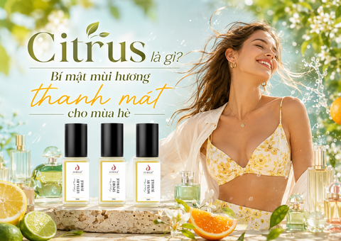 Citrus là gì? Bí mật mùi hương thanh mát cho mùa hè