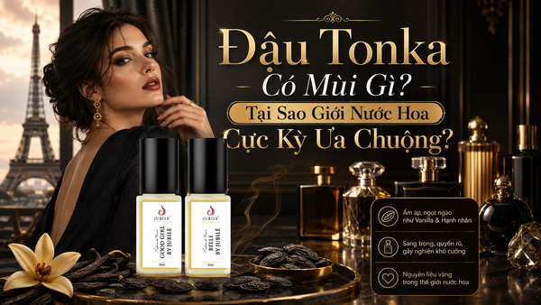Đậu Tonka Có Mùi Gì? Tại Sao Giới Nước Hoa Cực Kỳ Ưa Chuộng?