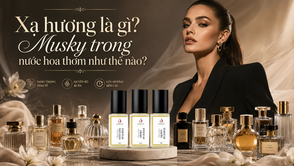 Xạ hương là gì? Musky trong nước hoa thơm như thế nào?