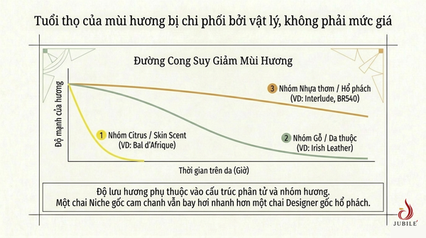 nuoc-hoa-niche-la-gi
