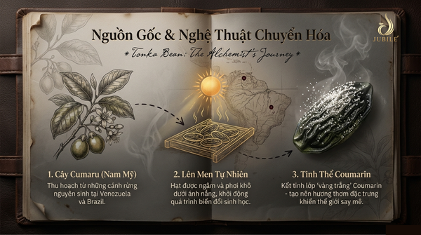 nuoc-hoa-mui-dau-tonka